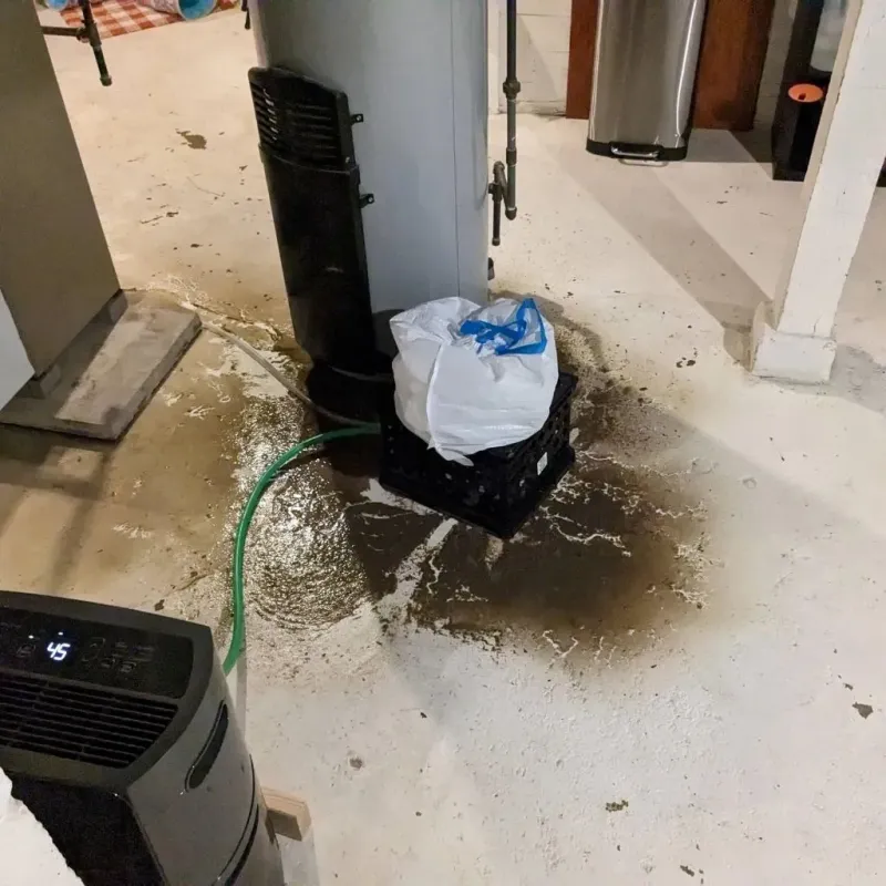 Sewage Backup Cleanup Service in Junction, UT